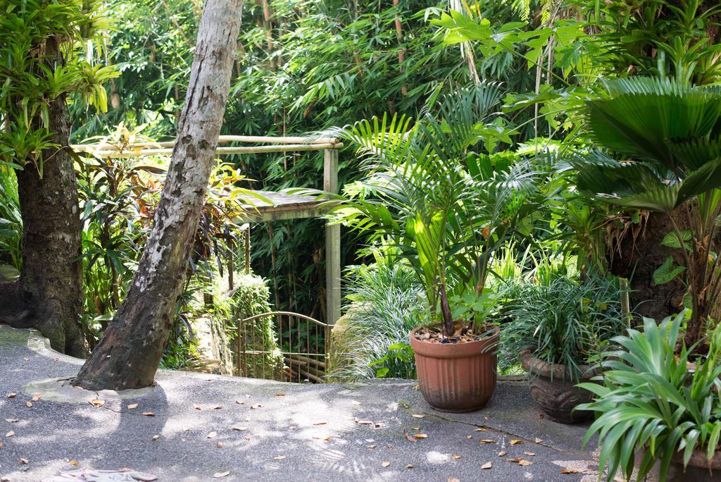 Serenity House Ubud Exterior foto